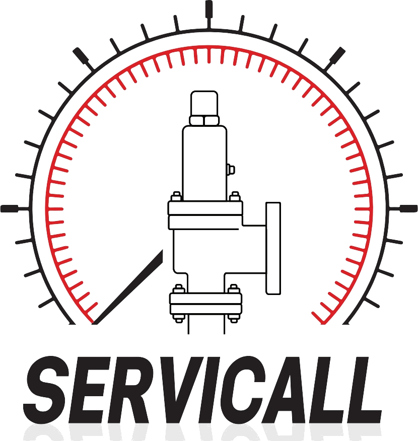 Servicall Engenharia — manômetro com válvula de segurança